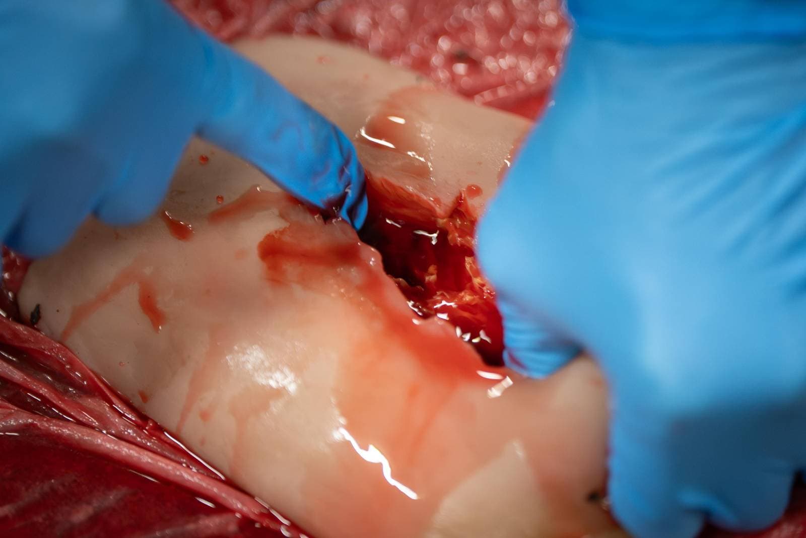 Realistic wound simulation for trauma training